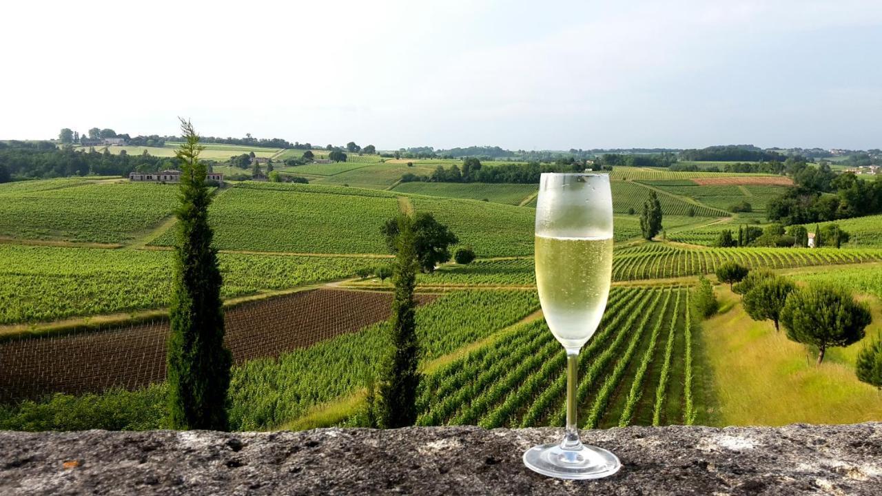 Bourg-sur-Gironde Chateau De La Grave Bed & Breakfast エクステリア 写真