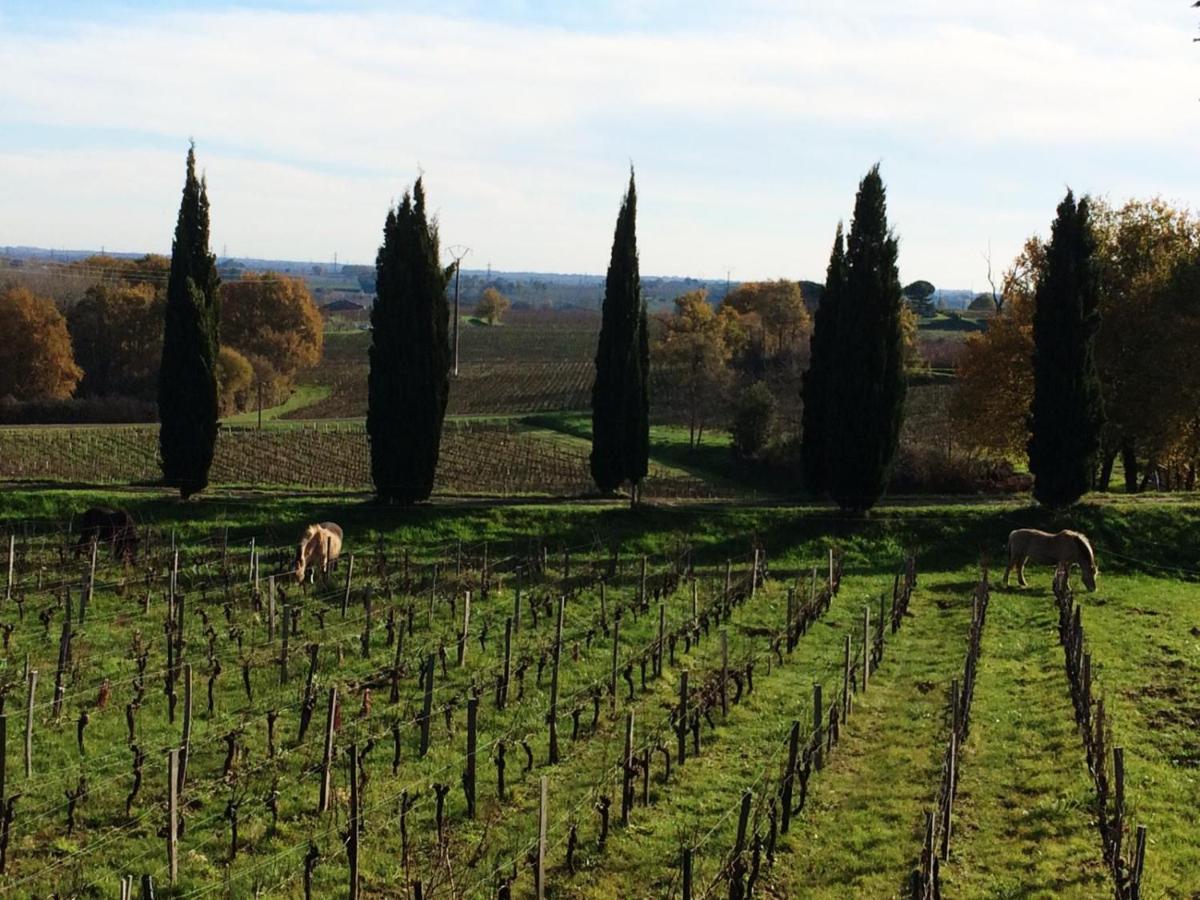 Bourg-sur-Gironde Chateau De La Grave Bed & Breakfast エクステリア 写真